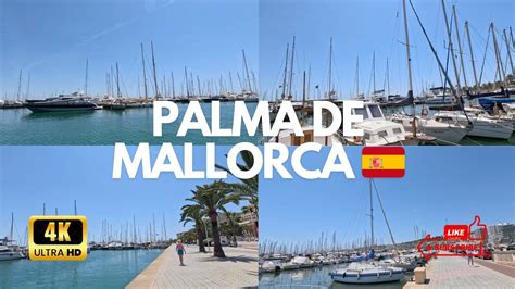 lutron marine palma majorca|Mallorca Beautiful Tour through Palma de Mallorca Marina! ⛵️.
